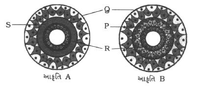 Question diagram