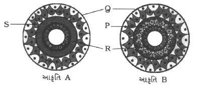 Question diagram