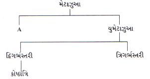 Question diagram