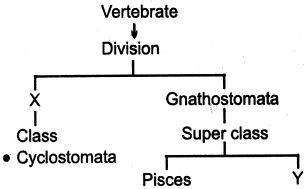 Question diagram
