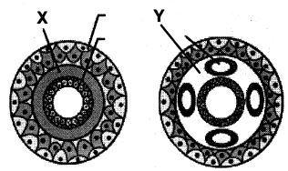 Question diagram