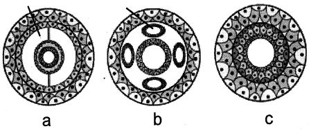 Question diagram