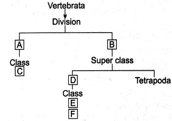 Question diagram