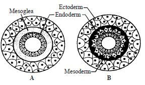 Question diagram