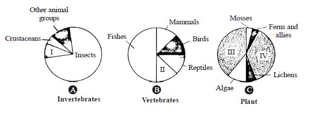 Question diagram