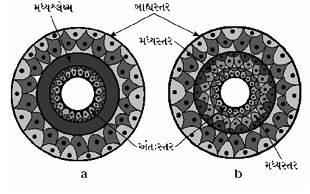 Question diagram