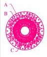 Question diagram