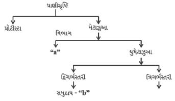 Question diagram