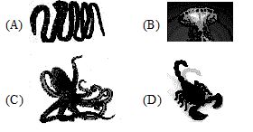 Question diagram