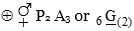 Option A