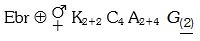 Option B