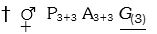 Option C