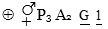 Option C
