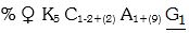Option C