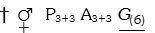 Option D