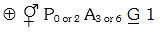 Option D