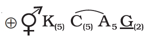 Question diagram