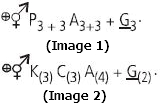 Question diagram