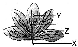 Question diagram