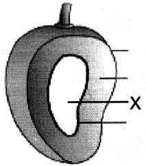 Question diagram