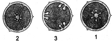 Question diagram