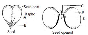 Question diagram