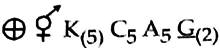 Option A
