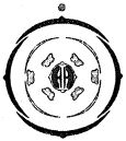 Option A