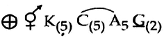 Option B