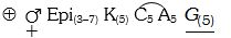 Option B