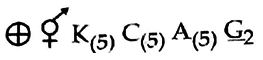 Option C