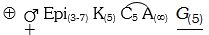 Option C