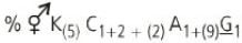 Option D