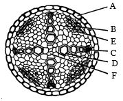 Question diagram