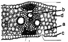 Question diagram