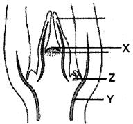 Question diagram