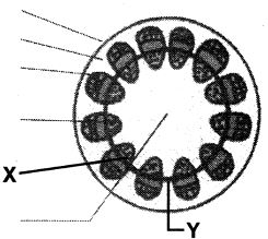Question diagram