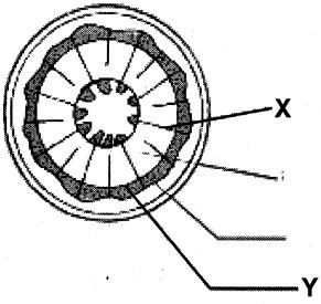Question diagram