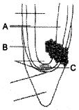 Question diagram