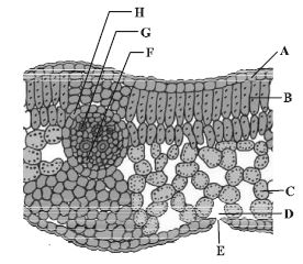 Question diagram