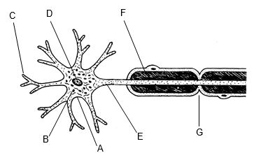 Question diagram