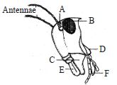 Question diagram