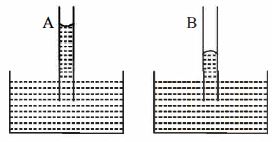 Option B