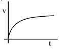 Option C