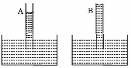 Option C