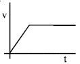Option D