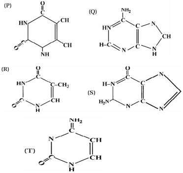 Question diagram