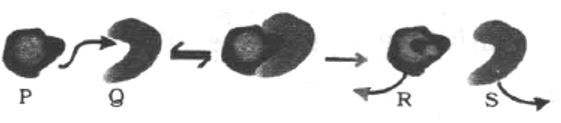 Question diagram