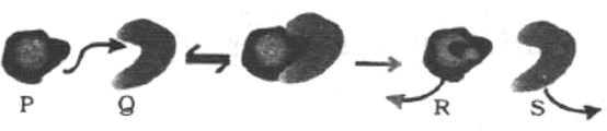 Question diagram