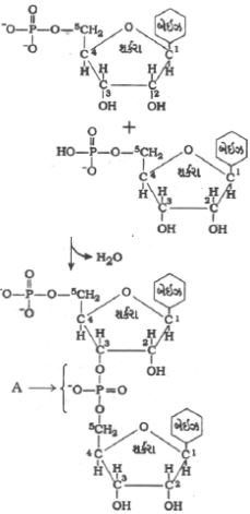 Question diagram